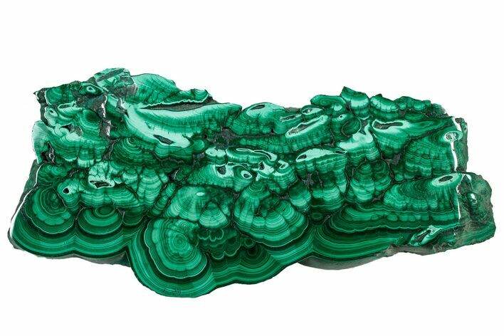 Flowery Polished Malachite Slab - DR Congo #302470